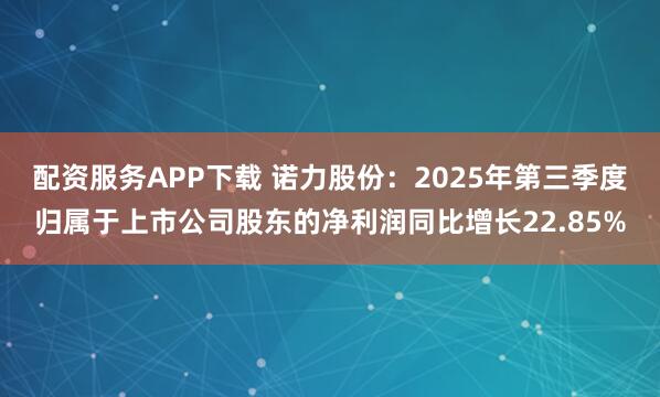 配资服务APP下载 诺力股份：2025年第三季度归属于上市公司股东的净利润同比增长22.85%