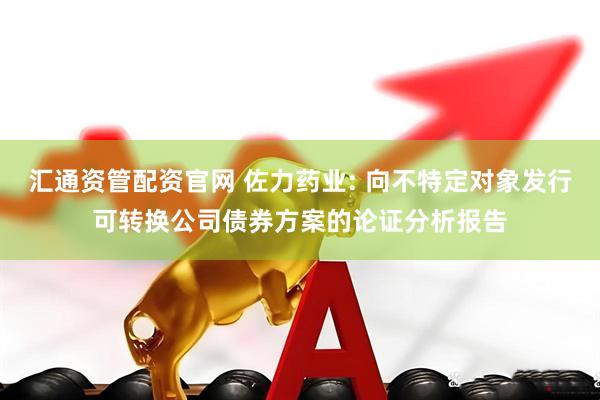 汇通资管配资官网 佐力药业: 向不特定对象发行可转换公司债券方案的论证分析报告