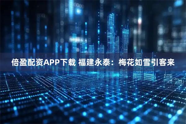 倍盈配资APP下载 福建永泰：梅花如雪引客来