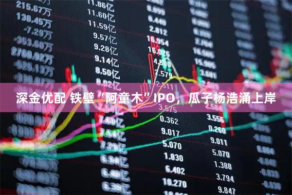 深金优配 铁壁“阿童木”IPO，瓜子杨浩涌上岸